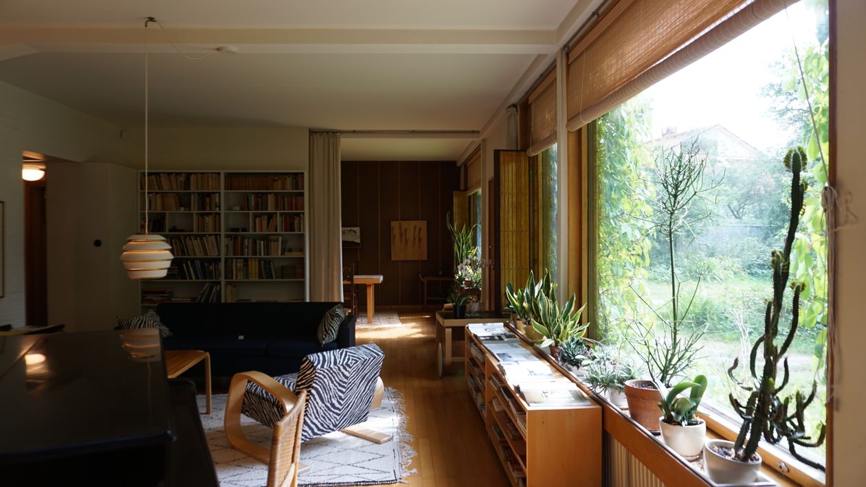 Sunlight falling into a calm, plant-filled interior